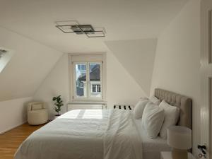 Haus Zum Park - The apartment