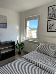 Rooms in Dresden