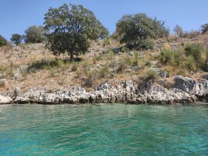 Villa e Olsi Kacupaj