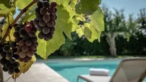 Historic building with pool - Giuliano