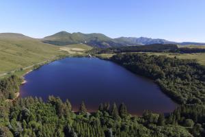 Appartements La Belle Epoque Studio : photos des chambres