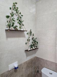 Casa El Canario by Sanlúcar Housing