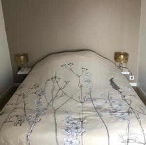 Appartements Agreable T2 au centre de Dijon : photos des chambres