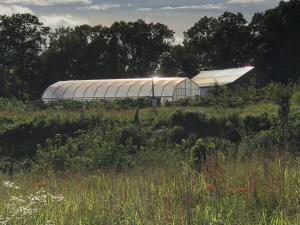 Sobremesa Farm Apartment