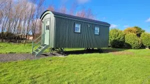 Cater Tober Haven - Dunnet