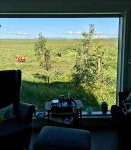 Lerkiholt, Horse Farm 58702