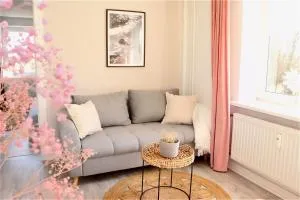 Helle und gemütliche Wohnung Nähe Stadtzentrum - 新明斯特