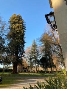 B&B / Chambres d'hotes Chateau de Chasseneuil sur Bonnieure : photos des chambres