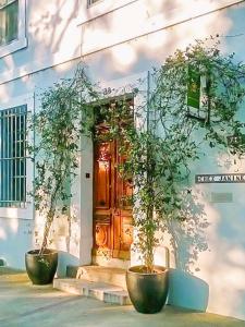 Appartements Chez Jeanine - Charmant T3 avec patio fleuri : photos des chambres