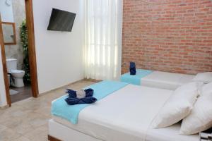 Hotel Palmas del Río