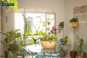 Refúgio Urbano - São José da Mata