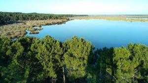 Villas Residence 02332-lacanau - Maison independante 6 personnes, lac de Lacanau MAE-1061 : photos des chambres