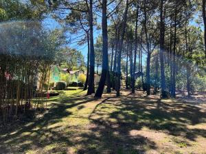 Résidence Lacanau Les Pins - Maison pour 4 pers, résidence de tourisme avec piscine à Lacanau MAE-1181