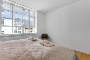 Luxury Apartment in Reykjavik