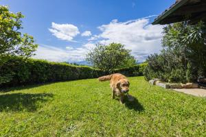 La Casba del Bruno Selvago