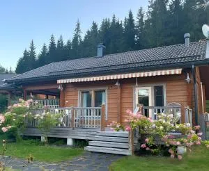 Villa Aurora - Pertunmaa