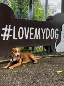 Estúdio Charmoso no Vieiralves