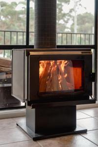 Candlebark at Boardwalk Villas