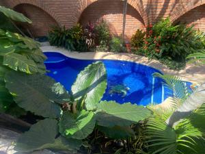 Estrella - Casa MoJos airy 2BR, kitchen, pool