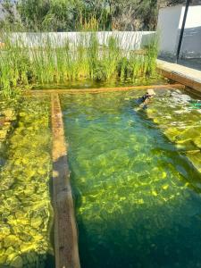 Cabañas Rincón Metztitlán