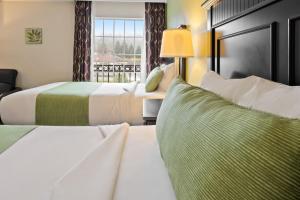 Serene stay with amenities & breakfast bar - The Wilshire Grand D (1)