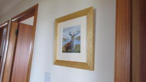 The Wee Gem - 9 Milking Hill Park