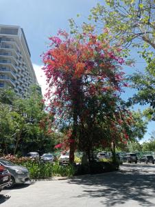 Brenttstaycation at Tambuli Living Tower C,10D unit