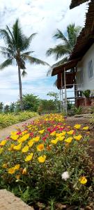 Anda Container House