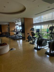 Aravaya Living at Branz BSD