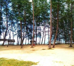 Chalet Barokah, Bachok
