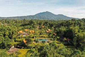 Desa Seni Baturiti - Angsri