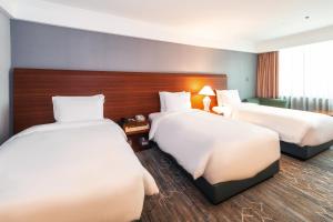 Phòng Ba Người (Triple Room)