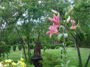 Cabañas Rukalafquen