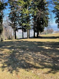 Chalet on Pohorje hill Maribor bike park next to the downhill track