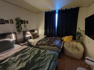 two room Cozy and Cool House Food alley