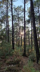 Appartements Beautiful apartment, terrace and garden, close to beaches : Appartement 2 Chambres - Vue sur Jardin