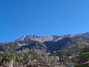 Yard Paradise Rooms Dhermi