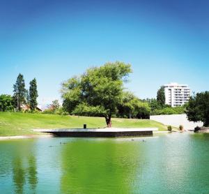 Dpto simple y comodo