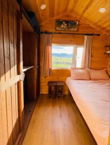 Tiny house in Terelj