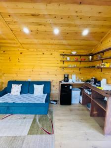 Tiny house in Terelj