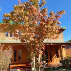 Khai Quynh Villa 3 - Venuestay