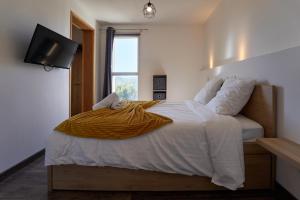 Appartements Saint-Mandrier - Vue Mer, Piscine & Serenite : photos des chambres