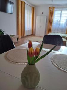 Pensiunea Casa Dorneană