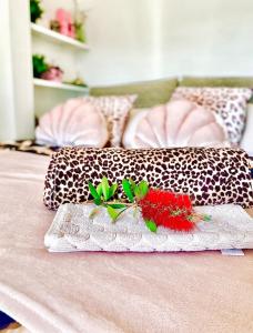 Nice - Little Studio with Sunny Terrace