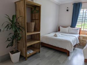 Coconut Lodge