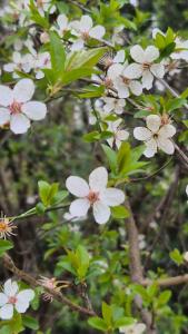Appartements So Cosy Home Paris-Sceaux/Bourg-la-Reine. : photos des chambres