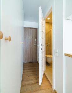 Stylish Studio in Vilnius III