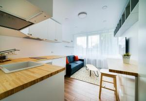 Stylish Studio in Vilnius III