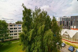 Stylish Studio in Vilnius III