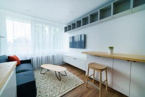 Stylish Studio in Vilnius III